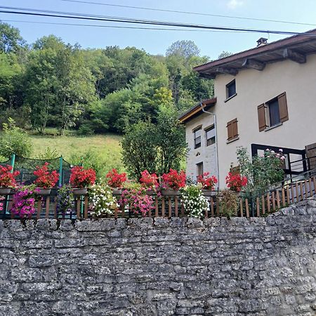 Gite Du Vieux Tonneau Cerdon  Exteriör bild